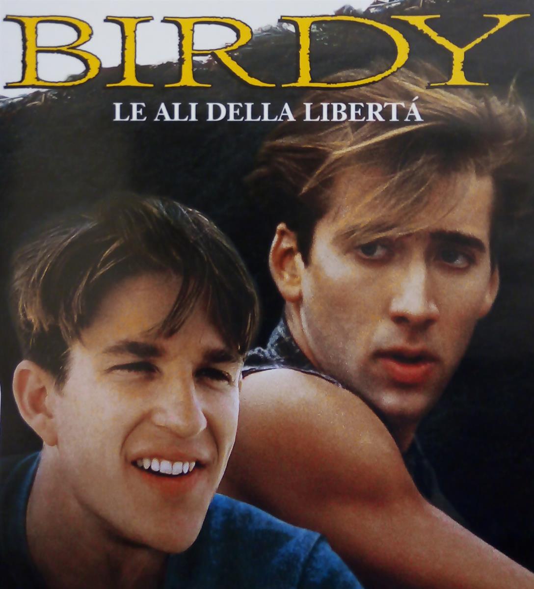 Birdy Le ali della libertà Birdy Le ali della libertà