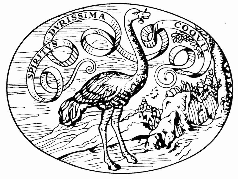 Logo editore Einaudi